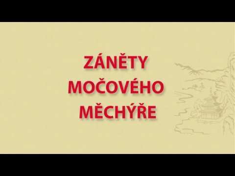 Zánět močového měchýře - jak ho vyléčit přírodní cestou