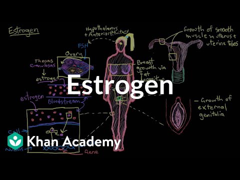 Estrogen | Reproductive system physiology | NCLEX-RN | Khan Academy