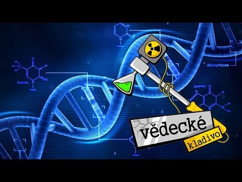 Co je DNA - Vědecké kladivo