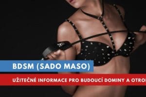 bdsm sado maso