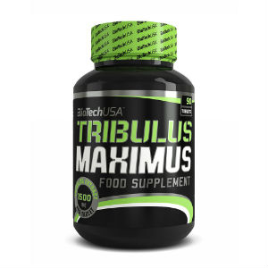tribulus maximus