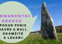 permanentní erekce
