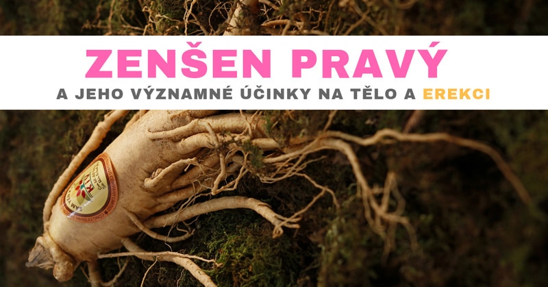 ženšen pravý