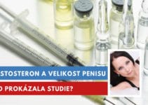 testosteron a velikost penisu