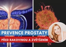 prevence prostaty před rakovinou a zvětšováním