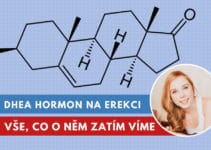 DHEA hormon