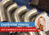 zakřivení penisu
