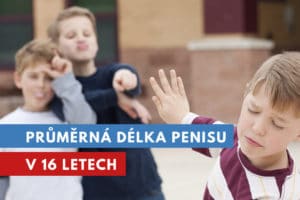 průměrná délka penisu v 16 letech