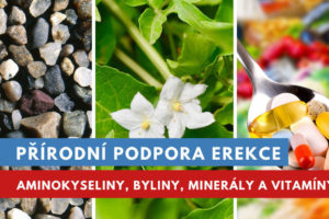 přírodní podpora erekce