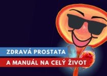 zdravá prostata