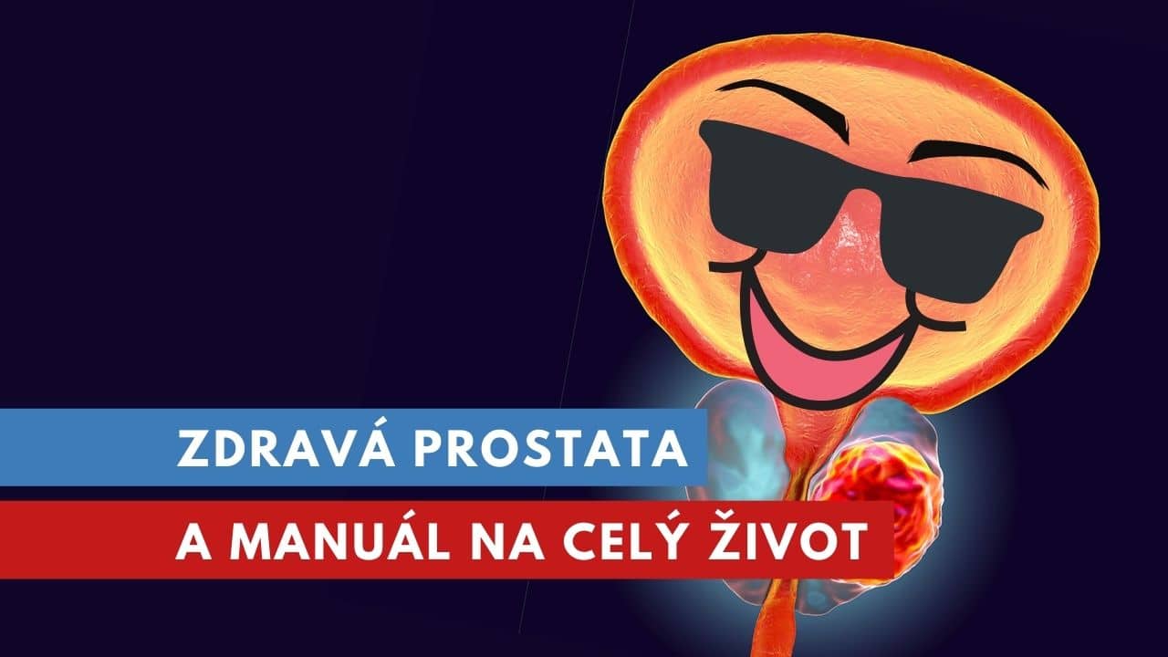 zdravá prostata