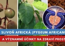 Slivoň africká, účinky na prostatu