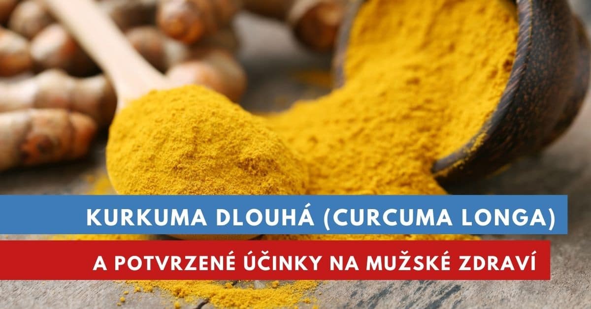 Kurkuma dlouhá, kurkumin a účinky na mužské zdraví