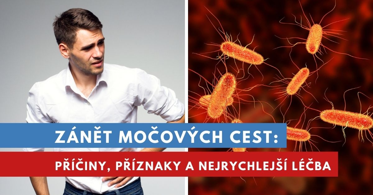 Jak se zbavit E. coli v močových cestách?