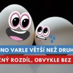 jedno varle větší než druhé
