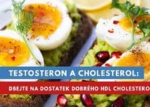testosteron cholesterol