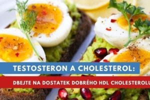 testosteron cholesterol