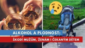 alkohol a plodnost