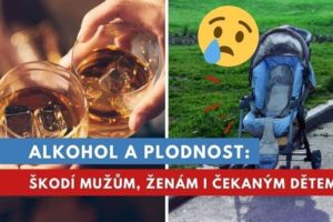 alkohol a plodnost