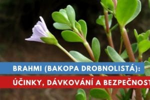 Brahmi, Bakopa drobnolistá