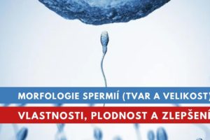 morfologie spermií