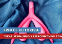 erekce klitorisu