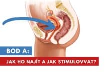 bod A