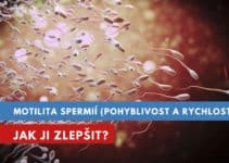 motilita spermií