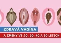 zdravá vagína