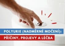 polyurie, nadměrné močení