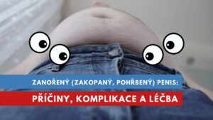 zanořený, zakopaný, pohřbený penis