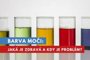 barva moči