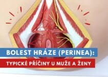 bolest hráze