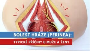 bolest hráze