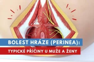 bolest hráze