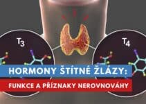 hormony štítné žlázy, tyroxin a trijodtyronin