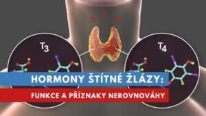 hormony štítné žlázy, tyroxin a trijodtyronin