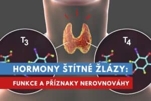 hormony štítné žlázy, tyroxin a trijodtyronin