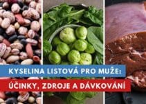 kyselina listová pro muže
