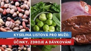 kyselina listová pro muže
