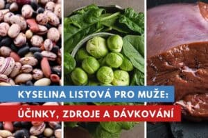 kyselina listová pro muže