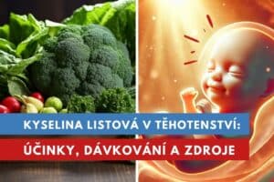 kyselina listová v těhotenství