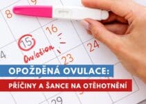 opožděná ovulace