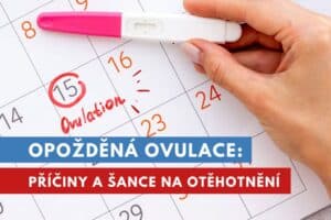 opožděná ovulace